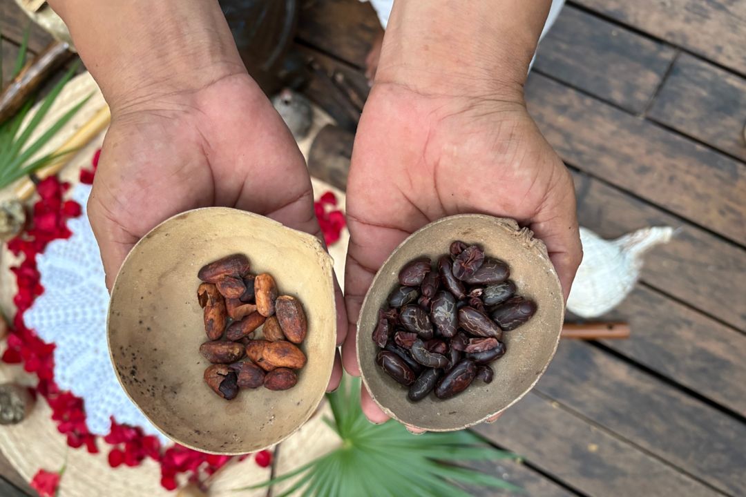 cacao at Rosewood Mayakoba